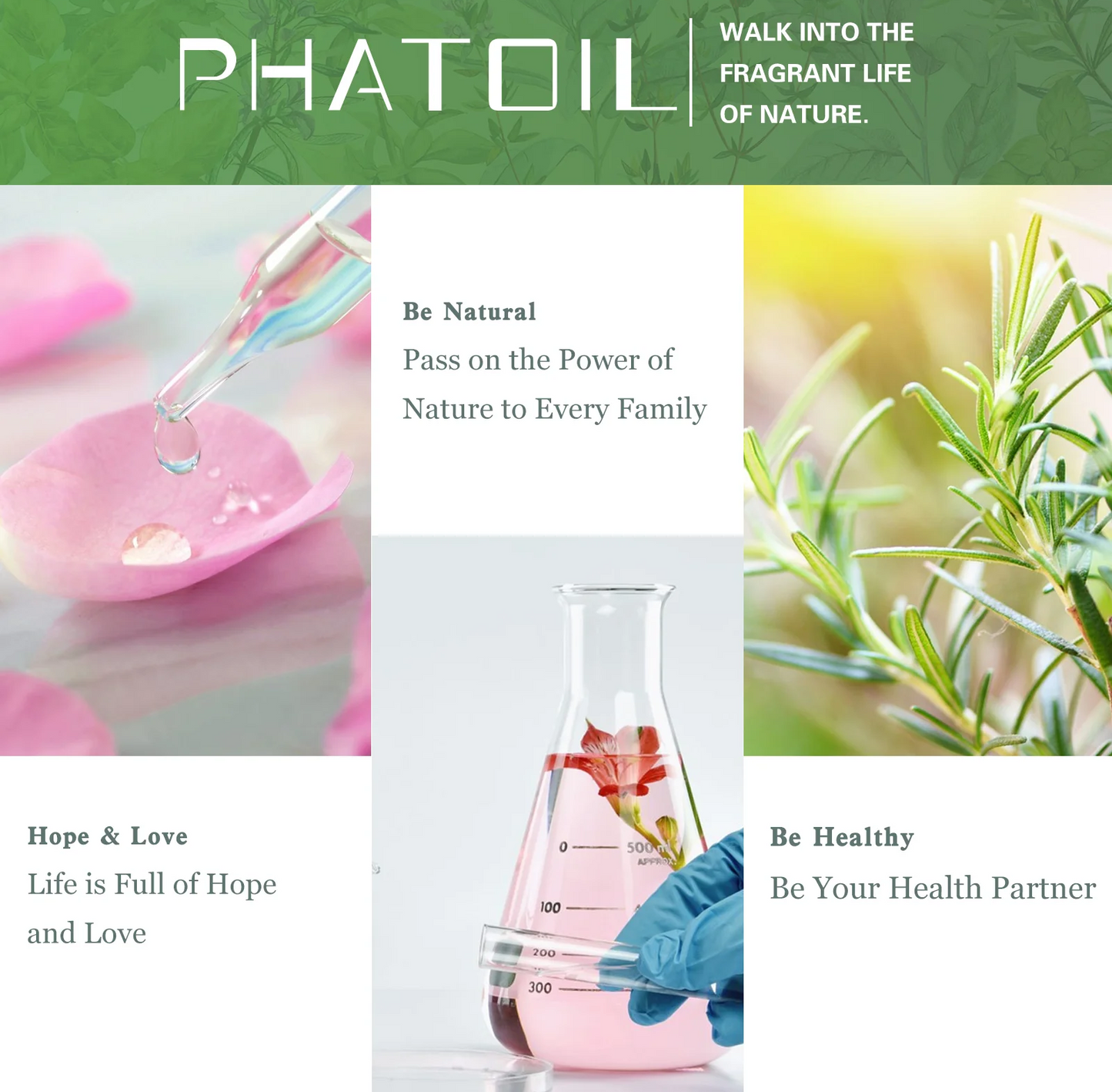 PHATOIL Ylang Ylang Essential Oil 100ml – alternate view