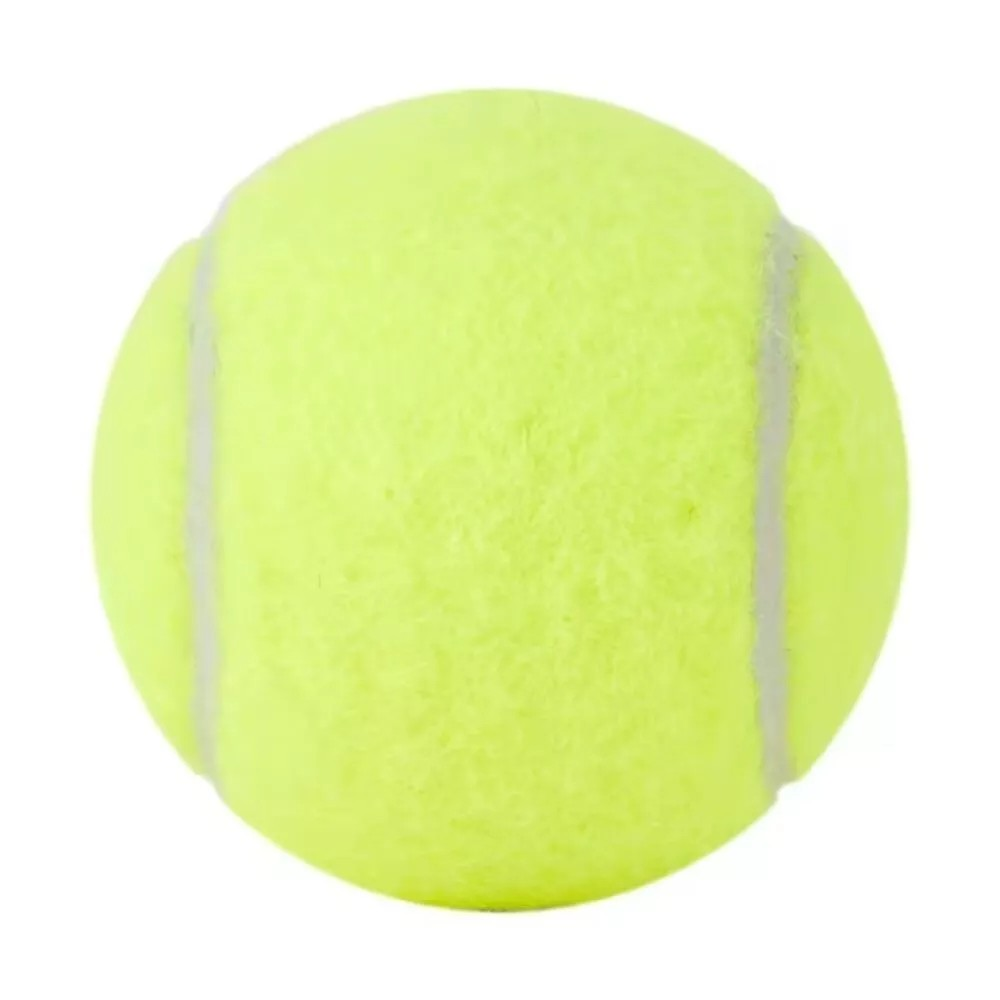 Tennis Balls for Training and Practice, Pack of 15, Green with Mesh Carry Bag