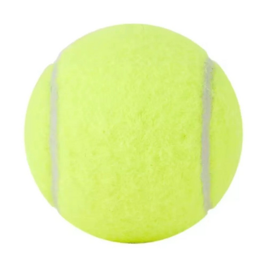 Tennis Balls for Training and Practice, Pack of 15, Green with Mesh Carry Bag.